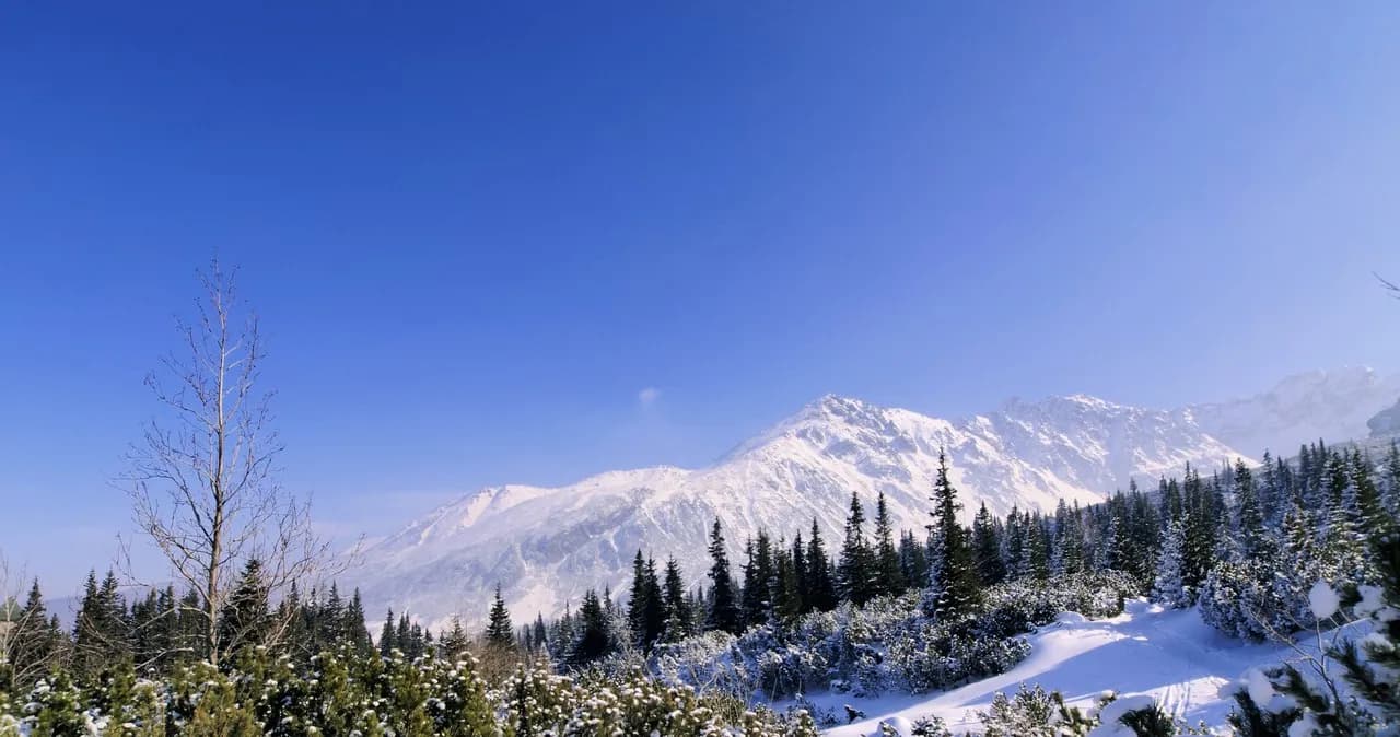 Małe ciche atrakcje, które omijają tłumy i oferują spokój Małe ciche atrakcje, które omijają tłumy i oferują spokój