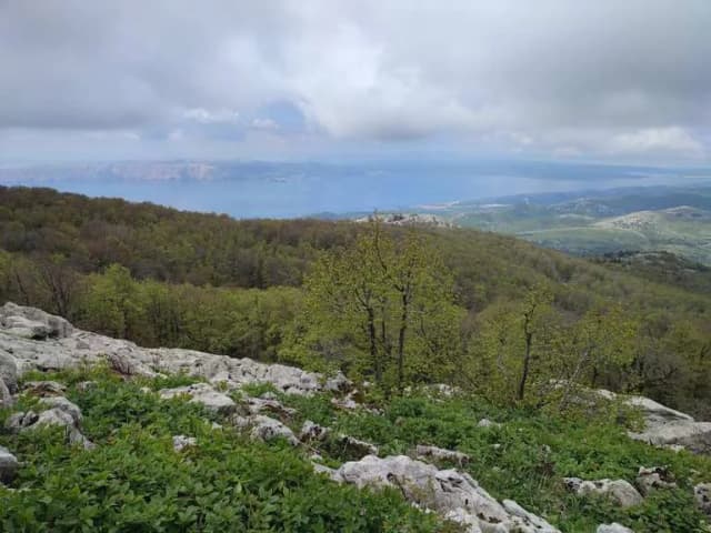 Novi Vinodolski atrakcje: odkryj ukryte skarby i piękne miejsca Novi Vinodolski atrakcje: odkryj ukryte skarby i piękne miejsca