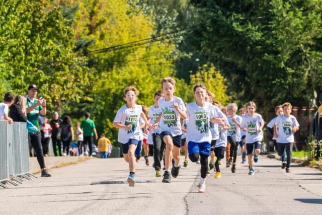 Najlepsze atrakcje w Tarczynie, które musisz zobaczyć i przeżyć Najlepsze atrakcje w Tarczynie, które musisz zobaczyć i przeżyć