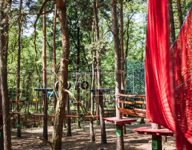 Sady Klemensa atrakcje, które zachwycą dzieci i dorosłych Sady Klemensa atrakcje, które zachwycą dzieci i dorosłych