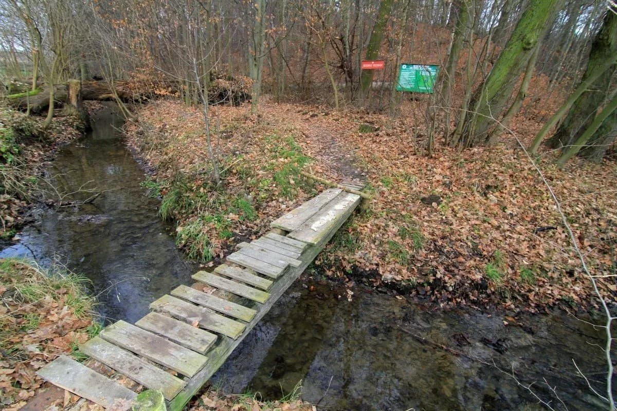 Rezerwaty przyrody na Śląsku - odkryj ich piękno i tajemnice Rezerwaty przyrody na Śląsku - odkryj ich piękno i tajemnice